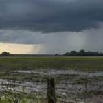 El niño ya está instalado: la provincia se prepara y el smn confirmó un dato clave