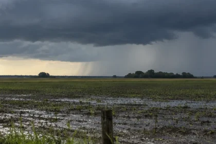 El niño ya está instalado: la provincia se prepara y el smn confirmó un dato clave
