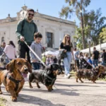 Escapadas: una ciudad bonaerense tendrá este domingo un desfile de perros salchicha, food trucks y música