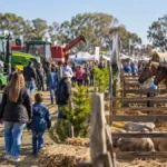 Expo rural: una ciudad bonaerense tendrá tres días de campo, caballos y gastronomía