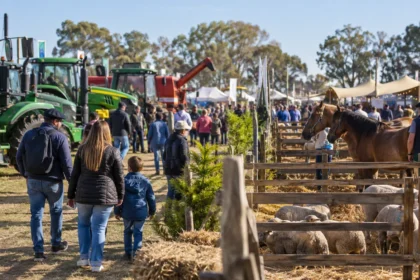 Familias recorriendo una exposición rural con tractores, caballos y animales