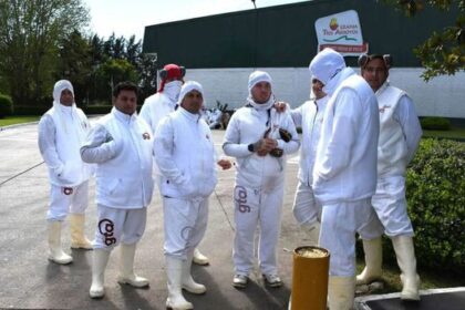Provincia tomó una decisión por los 1. 200 despidos de granja tres arroyos: qué pasará con los trabajadores