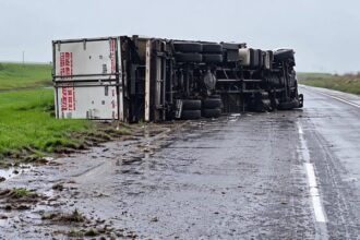 Un camión volcó en la autovía 2 y provocó complicaciones en el tránsito