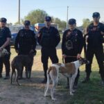 Desarticularon una banda que organizaba carreras ilegales de galgos en san miguel del monte