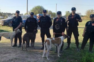 Desarticularon una banda que organizaba carreras ilegales de galgos en san miguel del monte