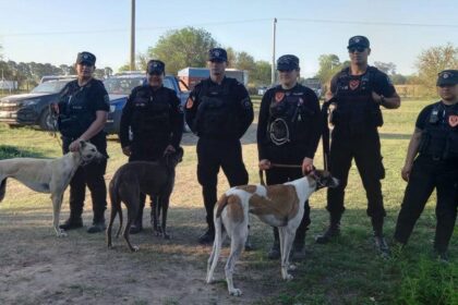 Desarticularon una banda que organizaba carreras ilegales de galgos en san miguel del monte