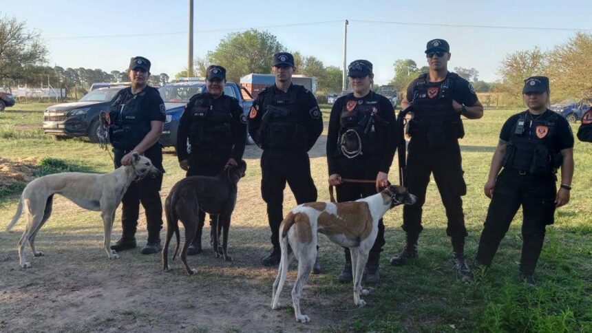 Desarticularon una banda que organizaba carreras ilegales de galgos en san miguel del monte