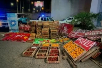 Ruta 2: retiraron puestos de venta de frutillas entre chascomús y lezama