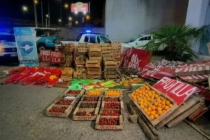 Ruta 2: retiraron puestos de venta de frutillas entre chascomús y lezama