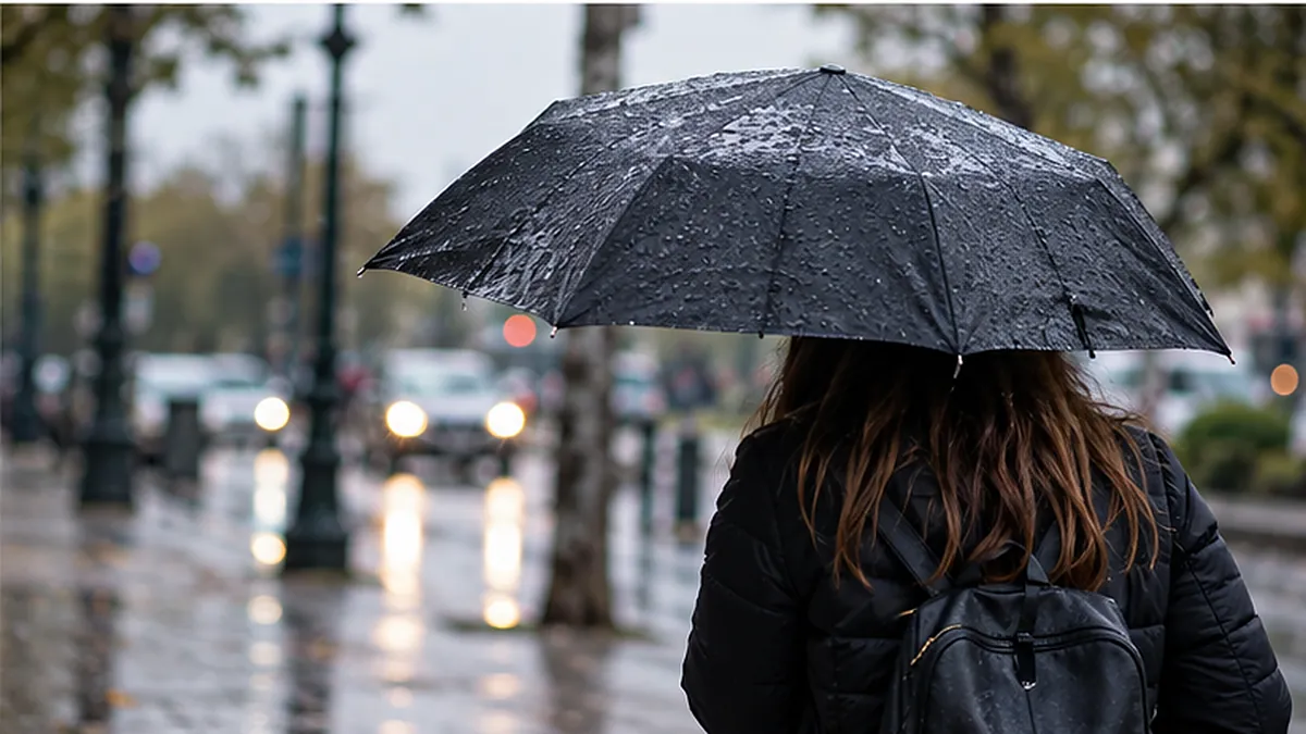 Persona bajo paraguas en una calle mojada por la lluvia