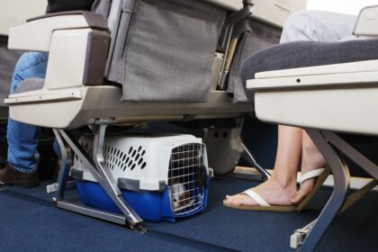 Transportadora de mascota debajo de un asiento de avión