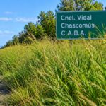 Preocupación por el pasto alto en la autovía 2: usuarios reclaman mantenimiento urgente a aubasa