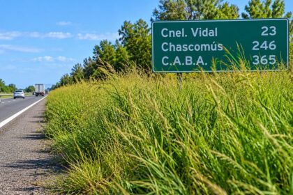 Preocupación por el pasto alto en la autovía 2: usuarios reclaman mantenimiento urgente a aubasa