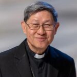 ¿quién es el cardenal elegido para reemplazar al papa león xiv durante su recuperación?