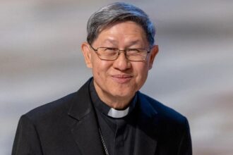 ¿quién es el cardenal elegido para reemplazar al papa león xiv durante su recuperación?