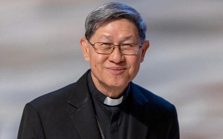 ¿quién es el cardenal elegido para reemplazar al papa león xiv durante su recuperación?