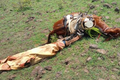 Tragedia en san isidro: cayó un rayo en el jockey club y mató a 4 yeguas de polo